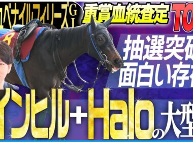 【阪神JF2025】抽選さえ突破できればこの馬！早熟性とスピードに優れた血を持つ大型馬に注目！！(坂上明大の重賞血統査定)《東スポ競馬》