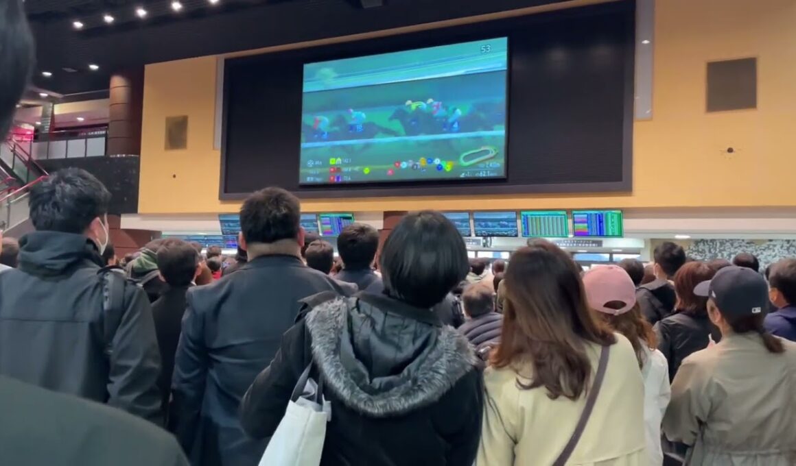 2025年11月30日東京12レースジャパンカップはカランダガンが勝利🏆