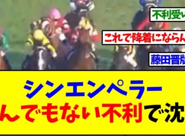 【ジャパンカップ2025】シンエンペラーものすごい不利を受けるも審議無しｗｗｗ【反応集】