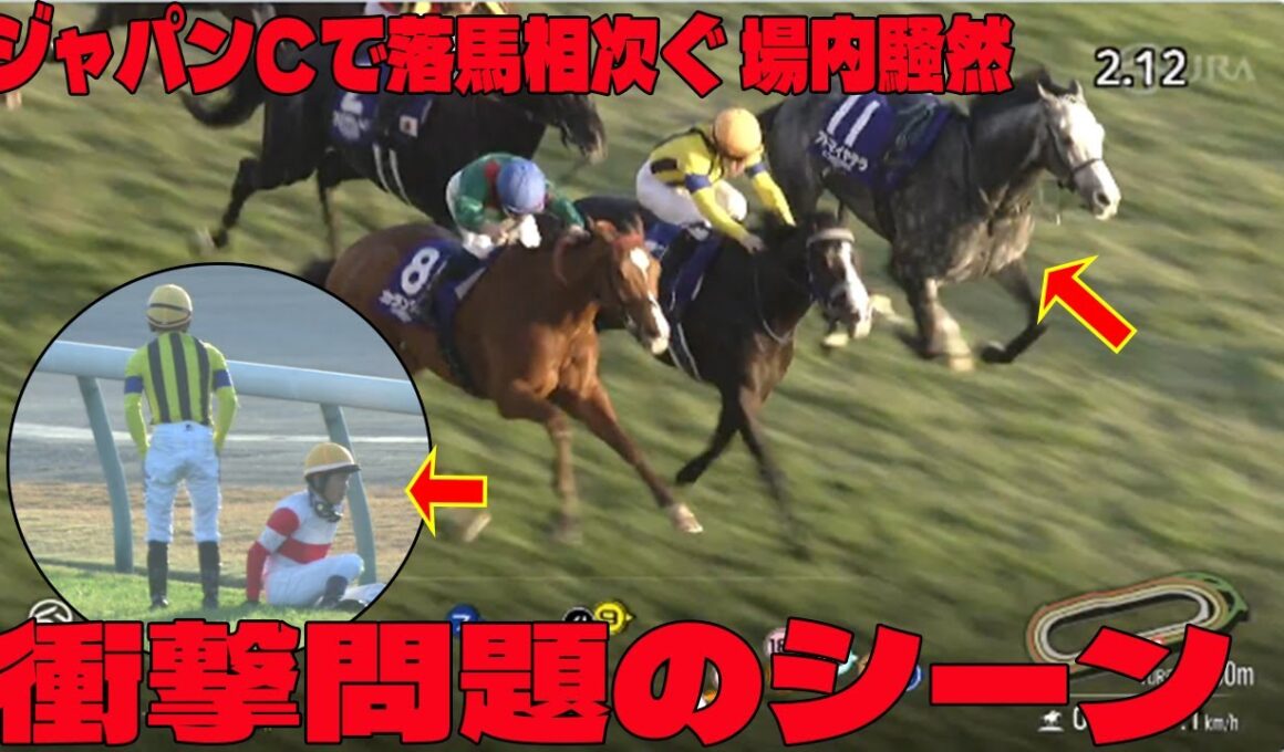 【アクシデント続出】ジャパンCで落馬相次ぐに批判殺到‼️許せない🔥  場内騒然   ＳＮＳ「何があった？」「大丈夫か？」スタート直後、入線後に計３頭が落馬