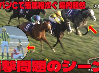 【アクシデント続出】ジャパンCで落馬相次ぐに批判殺到‼️許せない🔥  場内騒然   ＳＮＳ「何があった？」「大丈夫か？」スタート直後、入線後に計３頭が落馬