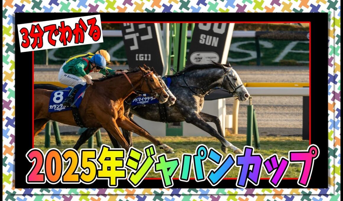 3分でわかる2025ジャパンカップについてお気持ち表明（ただのレース解説）【biimシステム】