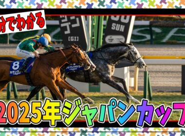 3分でわかる2025ジャパンカップについてお気持ち表明（ただのレース解説）【biimシステム】