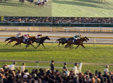 【現地映像 4K】2025.11.30（日） 東京12R ジャパンカップ（GⅠ）【カランダガン】