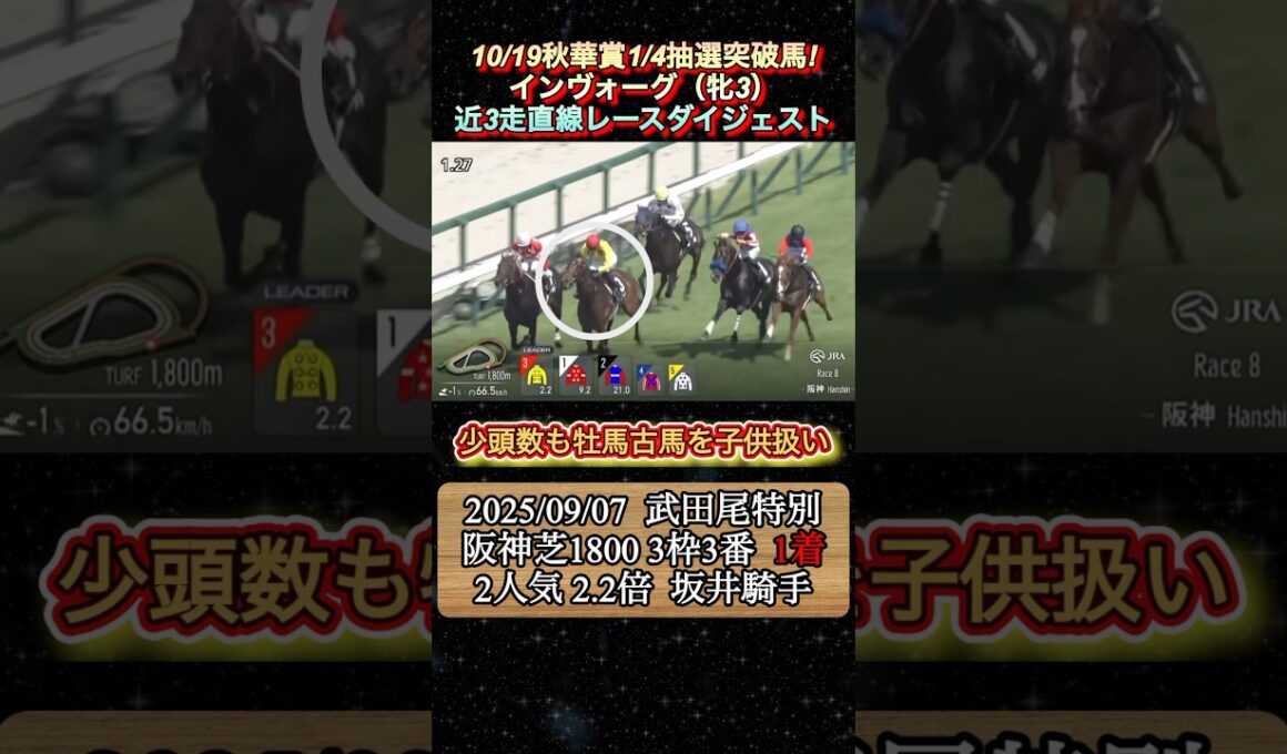 【インヴォーグ】 秋華賞1/4抽選突破はこの馬！近3走ダイジェスト　#競馬  #秋華賞  #インヴォーグ  #shorts