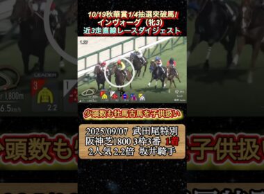 【インヴォーグ】 秋華賞1/4抽選突破はこの馬！近3走ダイジェスト　#競馬  #秋華賞  #インヴォーグ  #shorts