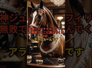 【阪神JF】無敗の良血。アランカールの強さは本物なのか？#阪神ジュベナイルフィリーズ#阪神JF#アランカール#野路菊ステークス#競馬予想#阪神JF予想#2歳女王決定戦#うまあそびチャンネル