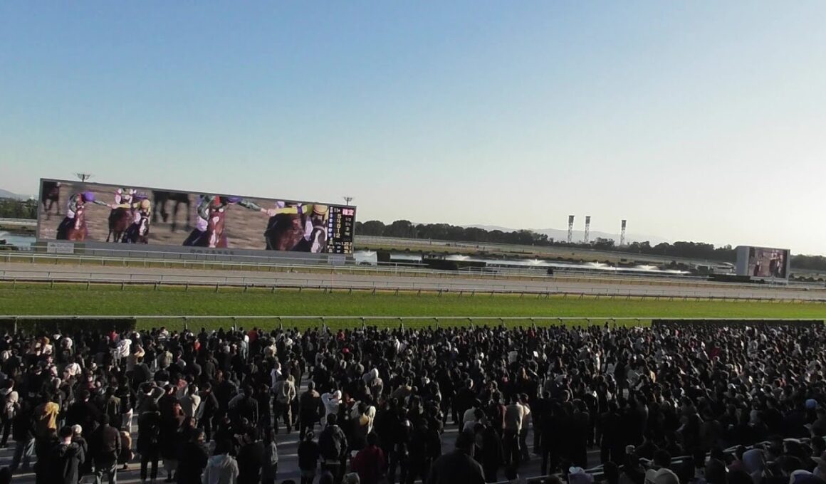 京都競馬場でも悲鳴、怒号、歓声、拍手の２０２５年ジャパンカップ。現地映像