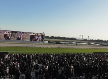 京都競馬場でも悲鳴、怒号、歓声、拍手の２０２５年ジャパンカップ。現地映像