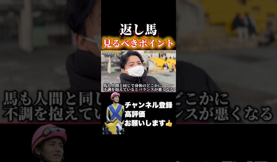 【競馬】必見！返し馬の見方#阪神ジュベナイルフィリーズ #朝日杯フューチュリティステークス #有馬記念
