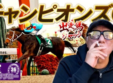 【チャンピオンズC】出走馬ジャッジ