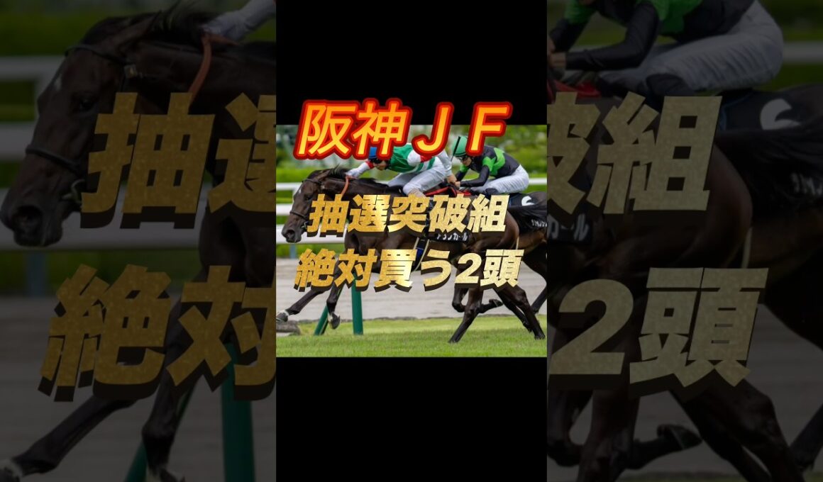 阪神ジュベナイルフィリーズ2025 抽選突破組絶対買う2頭紹介