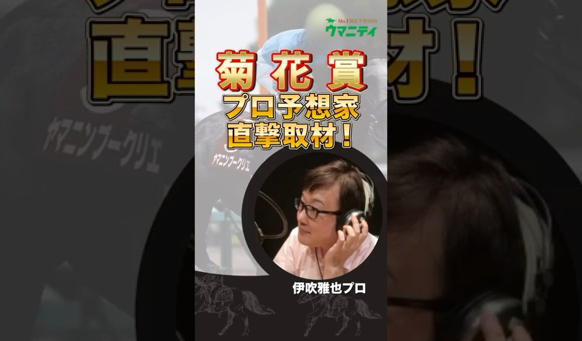 【菊花賞2025】データスペシャリスト「伊吹雅也」プロの狙い馬は？！ #菊花賞 #競馬予想 #shorts