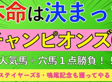 【2025 チャンピオンズカップ】競馬の醍醐味！本命馬◎の単勝で勝負します！！