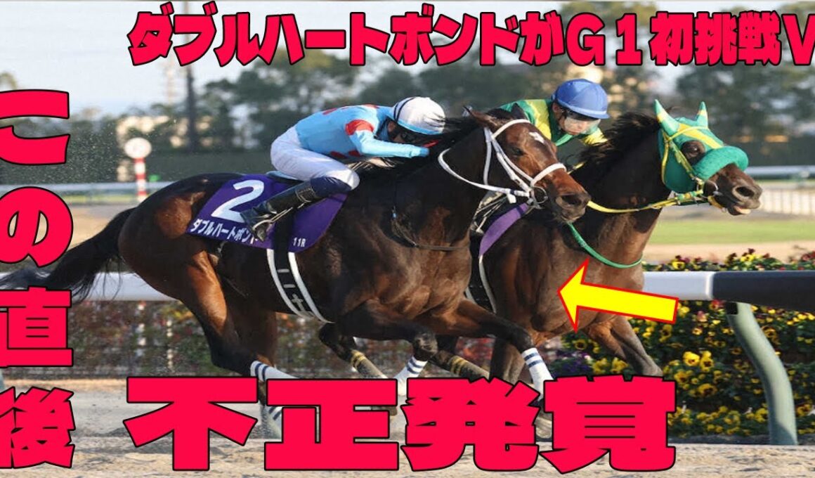 【競馬】チャンピオンズCで大炎上！牝馬ダブルハートボンドのG1初挑戦Vに「八百長疑惑」が噴出！ファン激怒の🔥「許せない」批判殺到！勝利の裏に隠された”不正”を徹底追求！