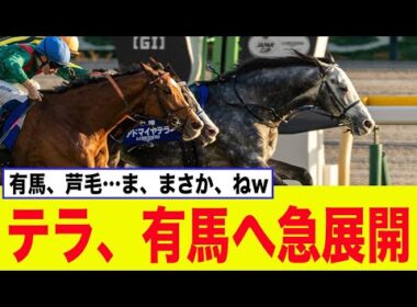 アドマイヤテラ、有馬記念「当確」で急展開へ…ww【競馬】【2chスレ】【5ch】【反応集】