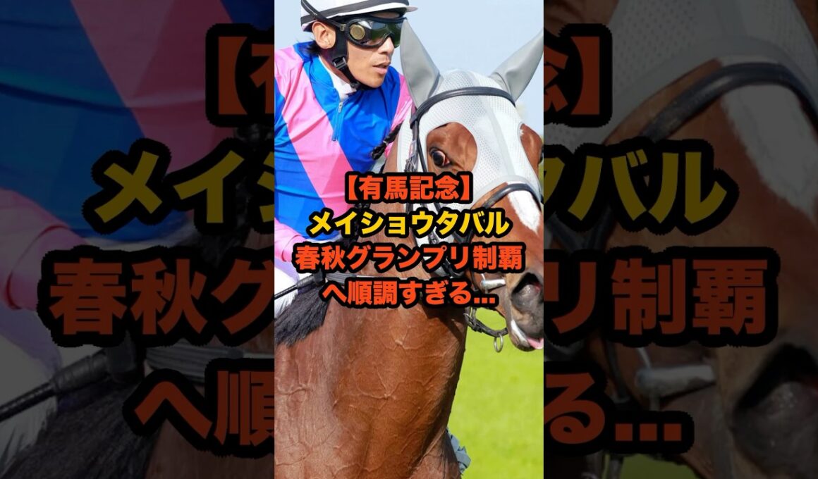 メイショウタバル、有馬記念へ順調すぎる仕上がりにファン震撼…春秋制覇なるか？ #有馬記念 #メイショウタバル #競馬
