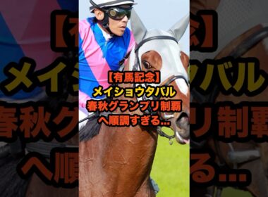 メイショウタバル、有馬記念へ順調すぎる仕上がりにファン震撼…春秋制覇なるか？ #有馬記念 #メイショウタバル #競馬