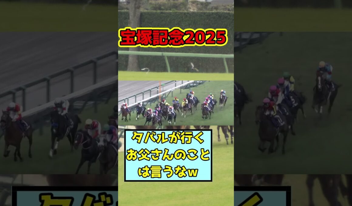 【競馬】宝塚記念2025メイショウタバル競馬の反応集