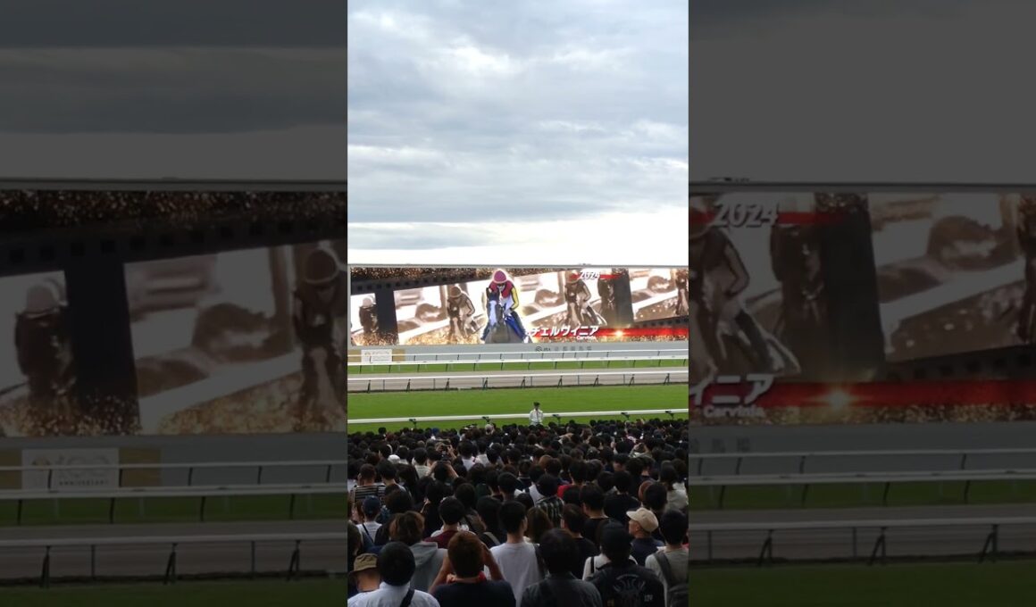 秋華賞ファンファーレ直前に京都競馬場に流れた映像