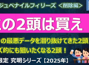 【阪神ジュベナイルフィリーズ2025＜削除編＞】この2頭は買っておけ！数々の最悪データに該当せず！オッズ面でも狙いたくなる2頭！