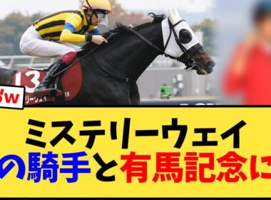 【有馬記念】ミステリーウェイ、あの騎手と有馬記念にw【競馬反応集】