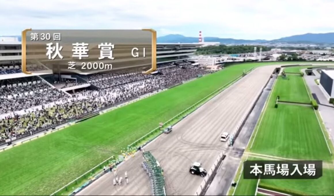 秋華賞2025本馬場入場【みんなのKEIBA】