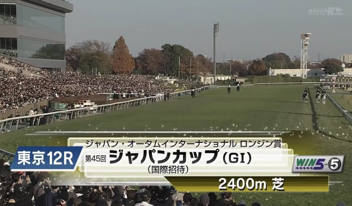 【本馬場入場】2025年11月30日 第45回 ジャパンカップ(G1) カランダガン/M.バルザローナ (Calandagan/M.Barzalona)