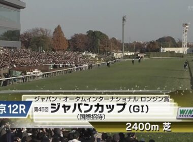 【本馬場入場】2025年11月30日 第45回 ジャパンカップ(G1) カランダガン/M.バルザローナ (Calandagan/M.Barzalona)