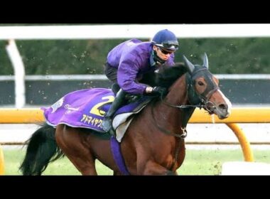 【朝日杯FS・1週前】アドマイヤクワッズ、3頭併せで意欲的に大きく追走　坂井瑠星騎手「基本的に能力の高い馬」