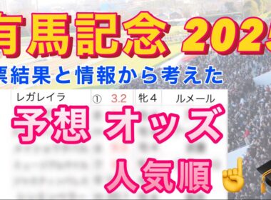 【有馬記念 2025 】 予想オッズ＆人気順を勝手に作ってみた‼️ー前編ー
