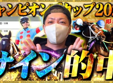 【チャンピオンズC 2025】サインを信じれば救われます