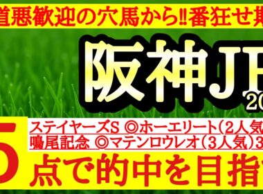【阪神ジュベナイルフィリーズ2025】最終予想！◎道悪OKで実績の割に軽視されているあの穴馬を狙わない手はない！