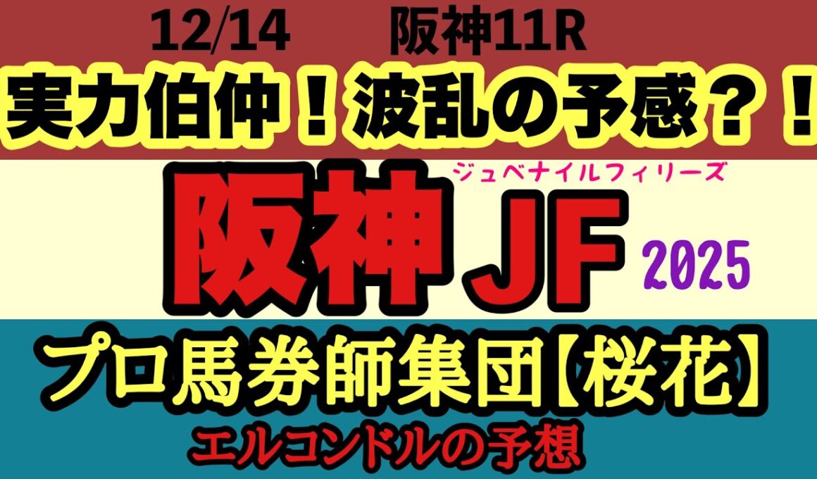 エルコンドル氏の阪神ジュベナイルフィリーズ2025予想｜重賞勝ち馬不在で大混戦！雨馬場で波乱必至の2歳女王決定戦！１番人気アランカールに不安要素も多い中での予想のポイントは！