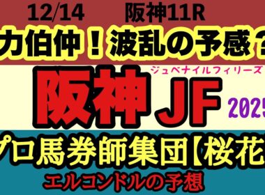 エルコンドル氏の阪神ジュベナイルフィリーズ2025予想｜重賞勝ち馬不在で大混戦！雨馬場で波乱必至の2歳女王決定戦！１番人気アランカールに不安要素も多い中での予想のポイントは！
