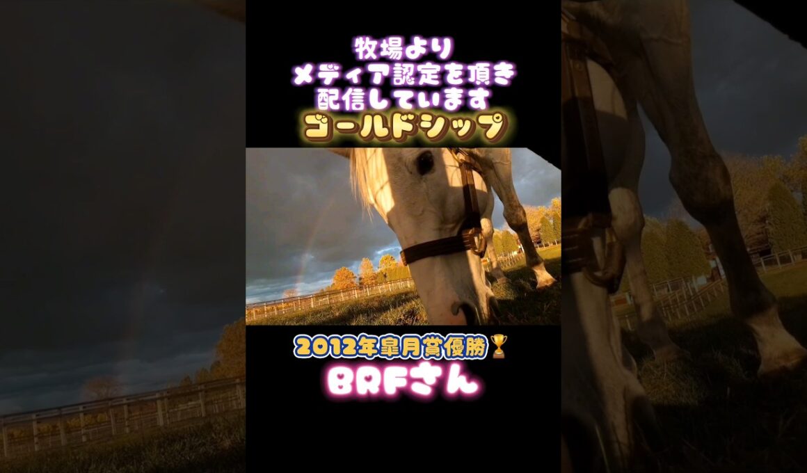#ゴールドシップ #ビッグレッドファーム #皐月賞 #ステイゴールド