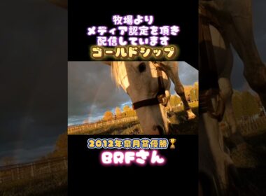 #ゴールドシップ #ビッグレッドファーム #皐月賞 #ステイゴールド
