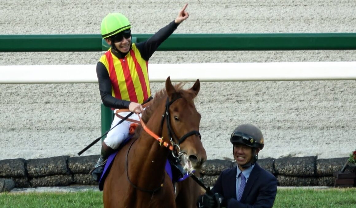 【阪神ジュベナイルフィリーズ2025】 スターアニス強かった‼ 初重賞が初GⅠ制覇 ‼ 現地映像