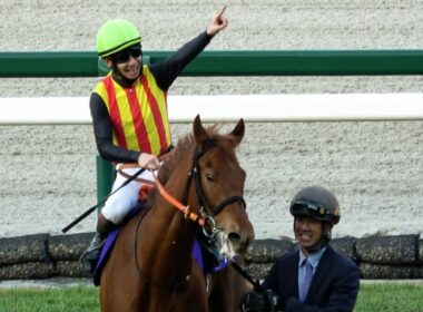 【阪神ジュベナイルフィリーズ2025】 スターアニス強かった‼ 初重賞が初GⅠ制覇 ‼ 現地映像