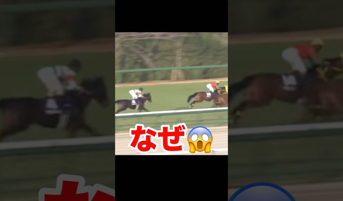 【なぜ】アランカール最後方へ #競馬 #阪神ジュベナイルフィリーズ #阪神jf #アランカール #競馬予想 #物議