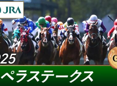 2025年 カペラステークス（GⅢ） | 第18回 | JRA公式