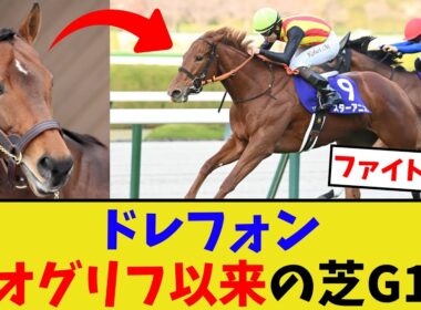 ドレフォンの種牡馬成績がヤバい…【競馬反応集】