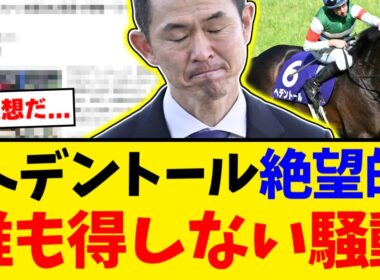 【炎上】年内休養のはずが有馬記念出走登録！？ヘデントールの出走枠潰しに批判殺到【競馬反応集】【2ch】