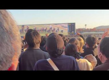 ジャパンカップ 2025 東京競馬場現地