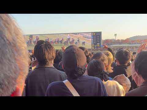 ジャパンカップ 2025 東京競馬場現地