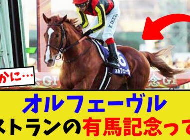 オルフェーヴルの有馬記念見たんだけど…【競馬反応集】