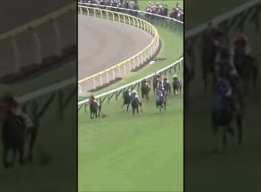 悪夢で見そうな朝日杯フューチュリティステークス #朝日杯FS #競馬予想 #リアライズシリウス エコロアルバ #ダイヤモンドノット