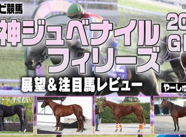 【競馬】阪神ジュベナイルフィリーズで人気馬が外枠に入ったら要注意！高速でタフなレースの適性馬は？アランカール スターアニス ミツカネベネラ タイセイボーグ アルバンヌ など【レース展望／スポナビ競馬】