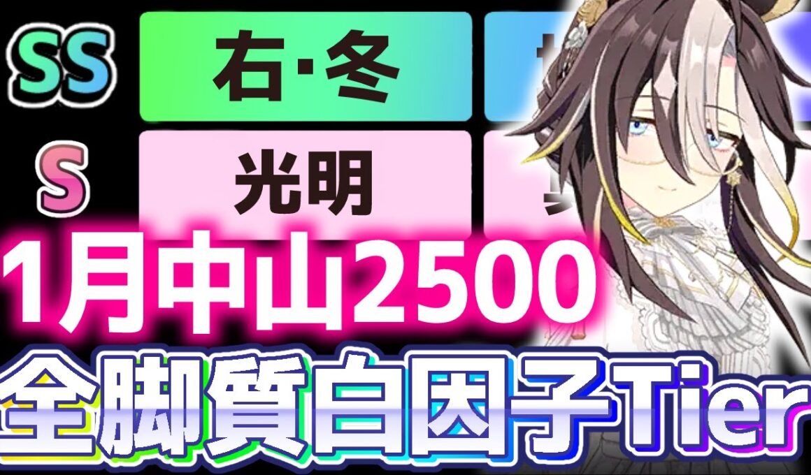 【チャンミ攻略】有馬記念白因子脚質別Tier解説！中山2500ｍ【ウマ娘×ずんだもん】