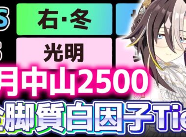 【チャンミ攻略】有馬記念白因子脚質別Tier解説！中山2500ｍ【ウマ娘×ずんだもん】